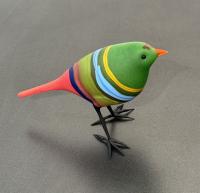 Banded Green Finch by Shane Fero