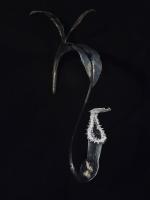 Chrysalis by Evan Kolker